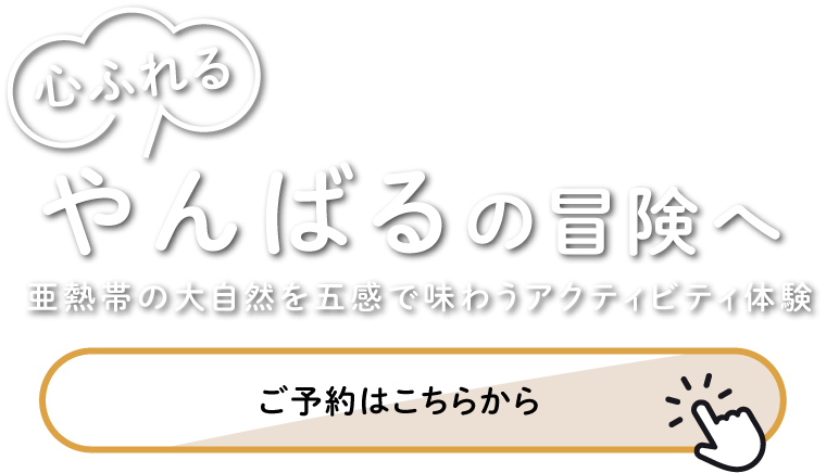 経験豊富なガイドが同行