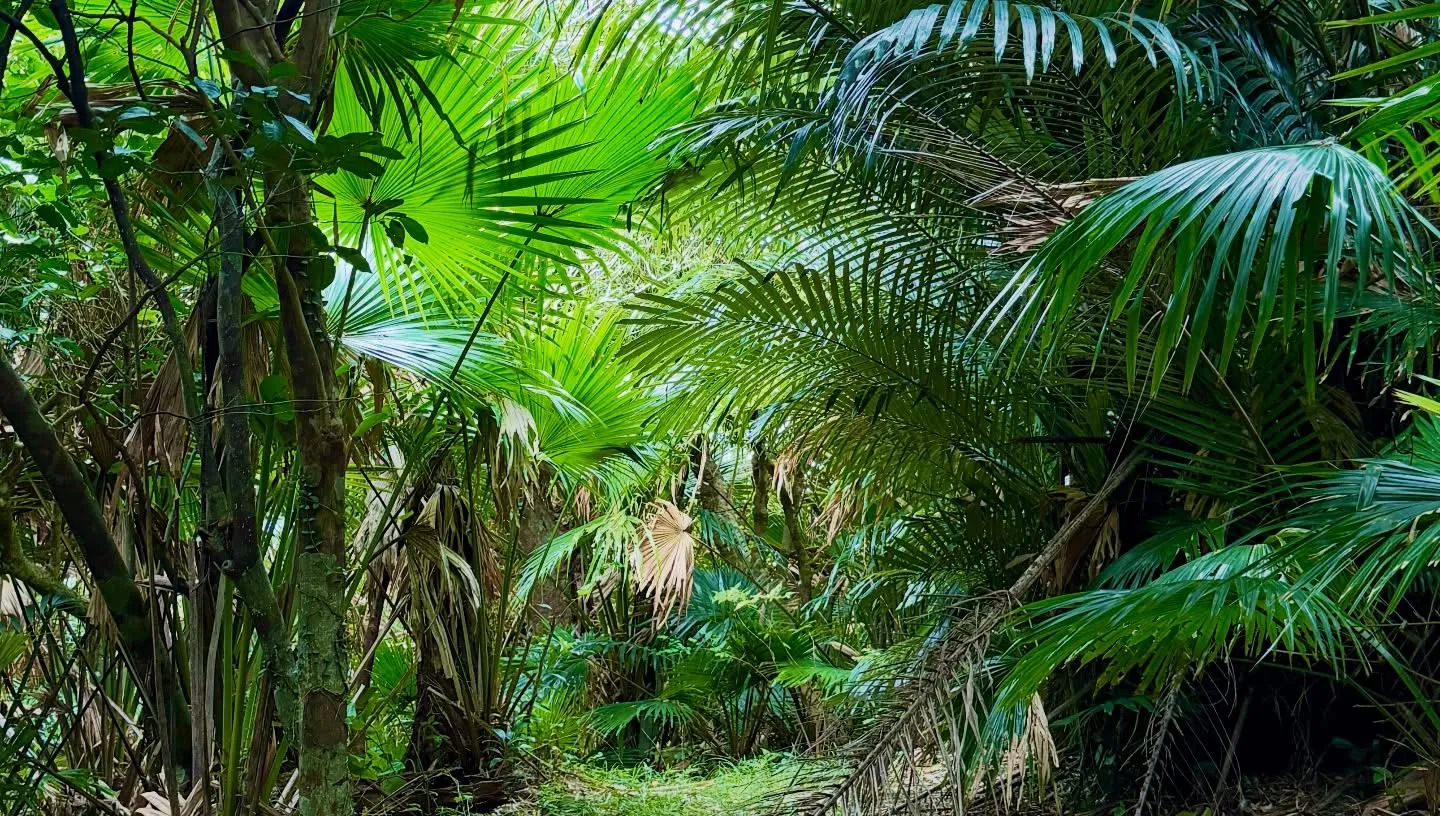 新年明けましておめでとうございます🎍