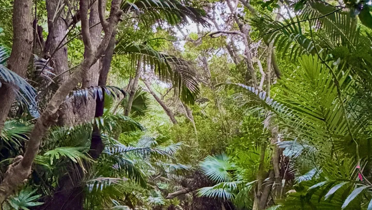 新年明けましておめでとうございます🎍