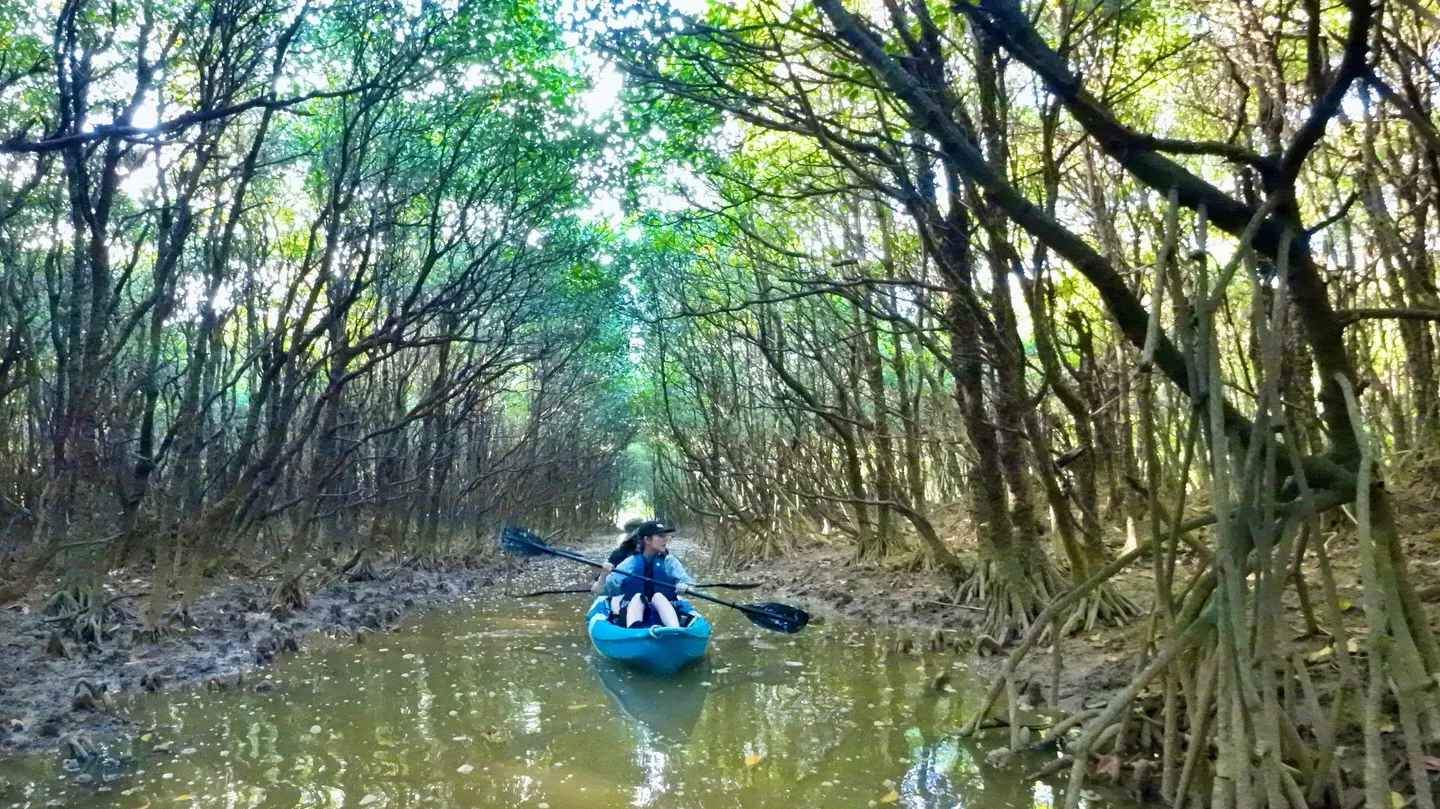 新年度スタート!春のやんばるへ漕ぎ出そう。