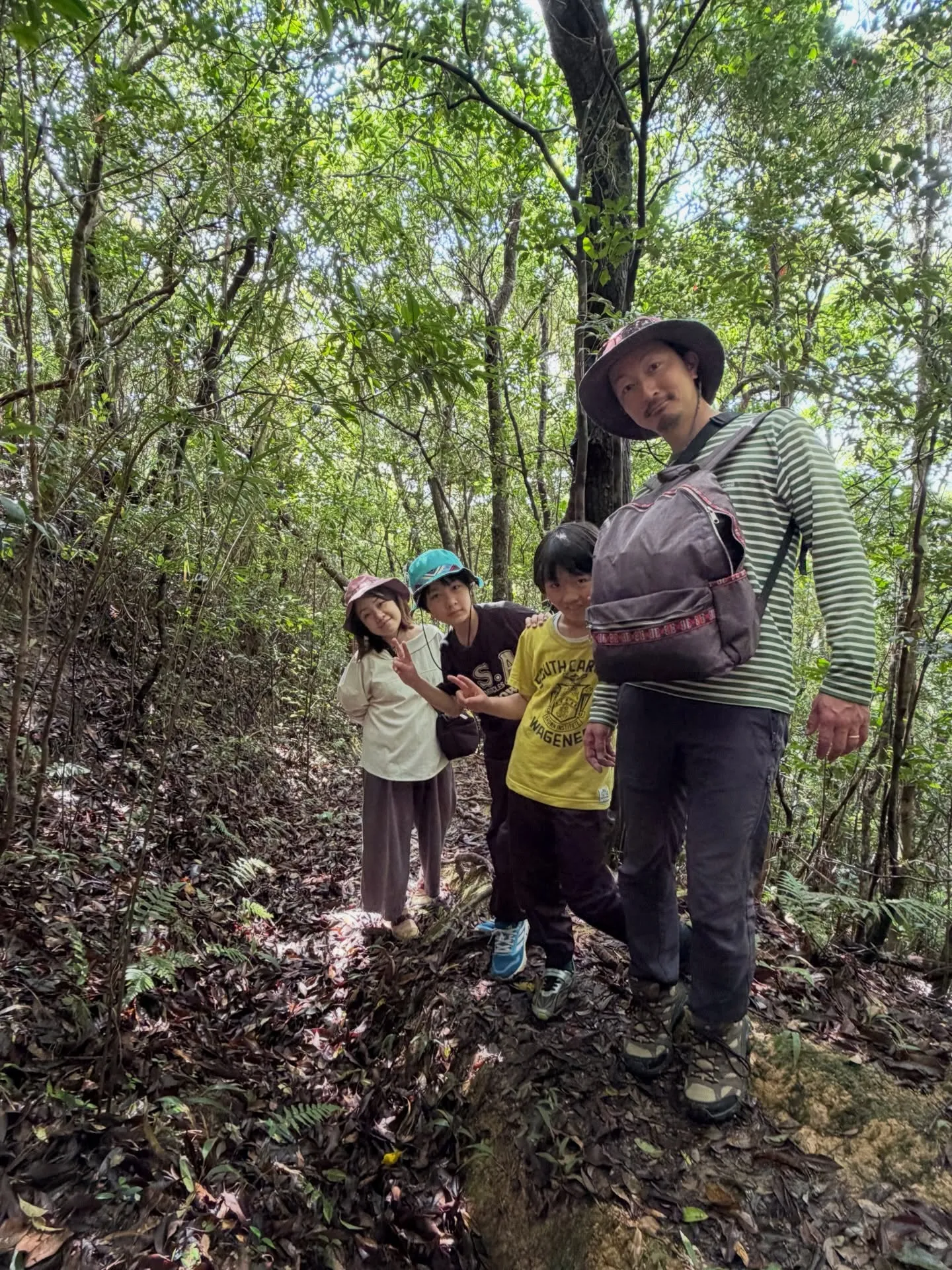 やんばるの森で、深呼吸。