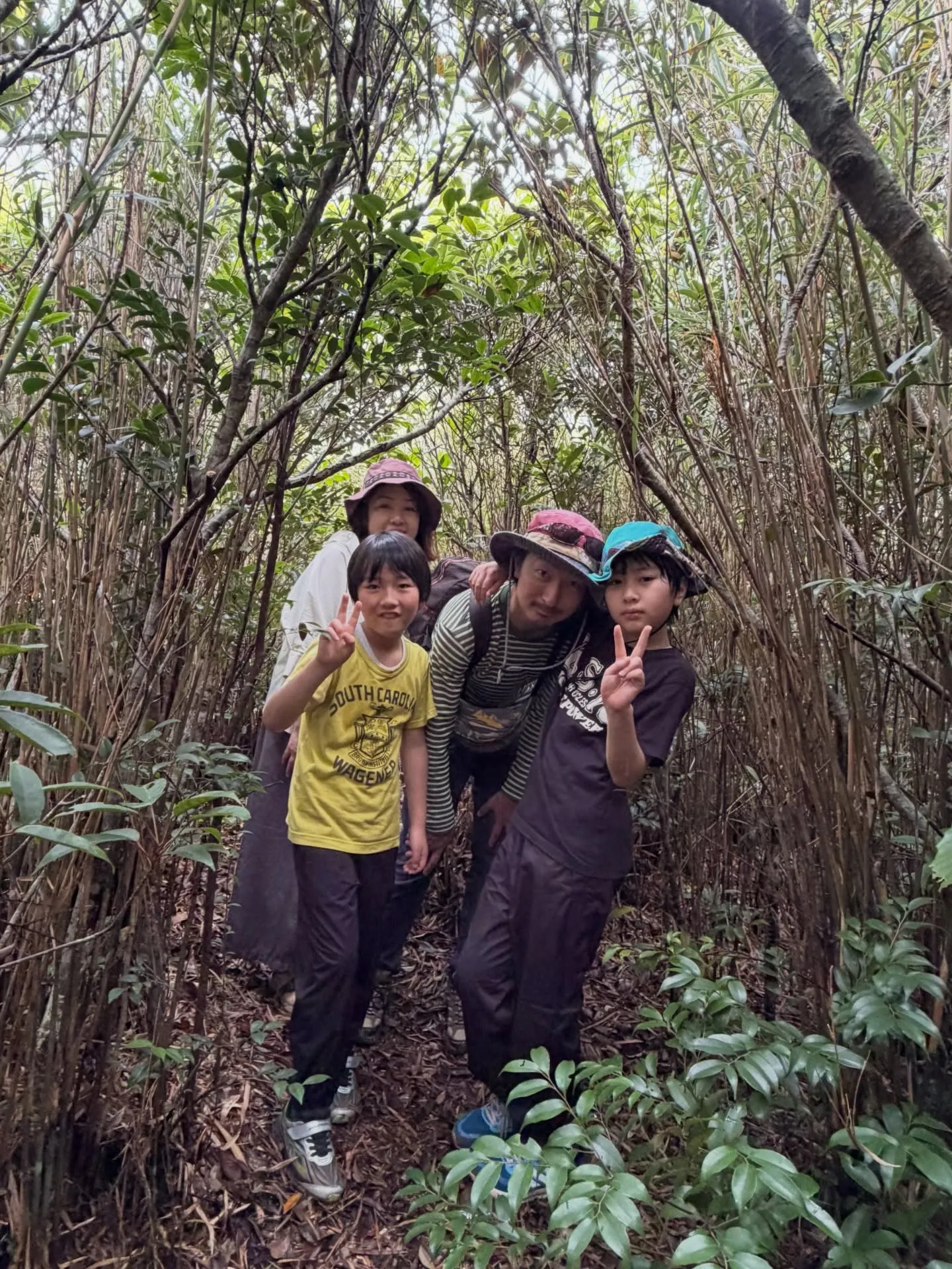 やんばるの森で、深呼吸。