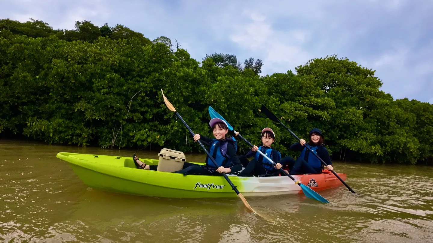 マングローブカヤックツアー♪
