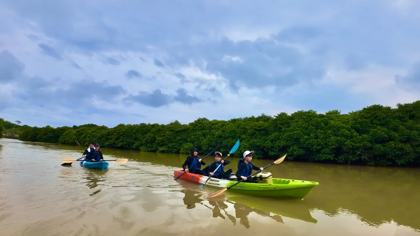 マングローブカヤックツアー♪