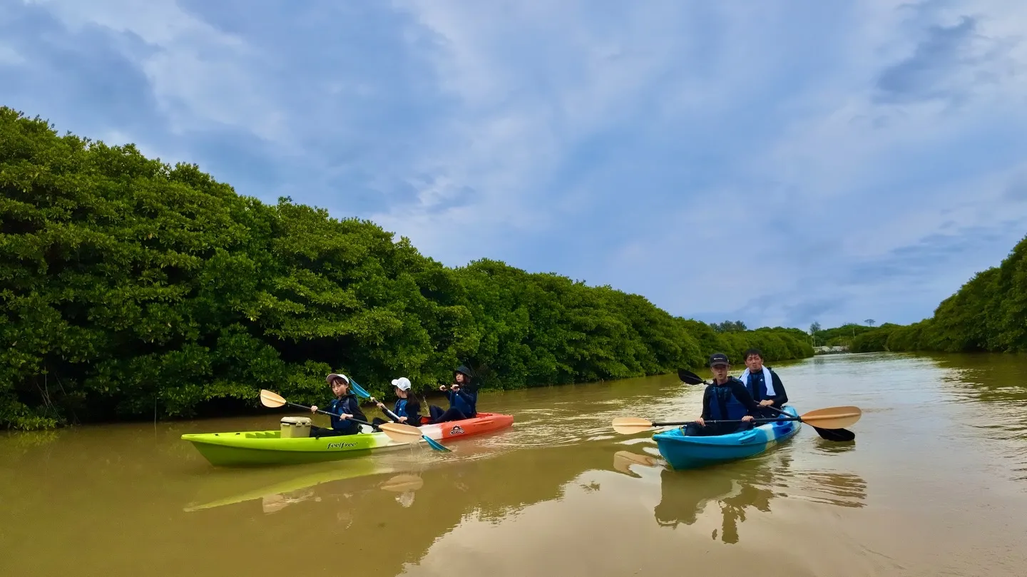 マングローブカヤックツアー♪