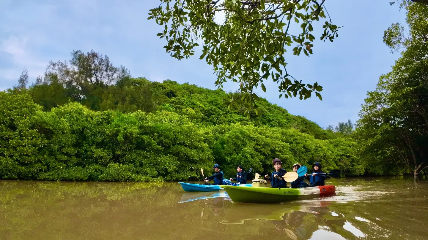 マングローブカヤックツアー♪