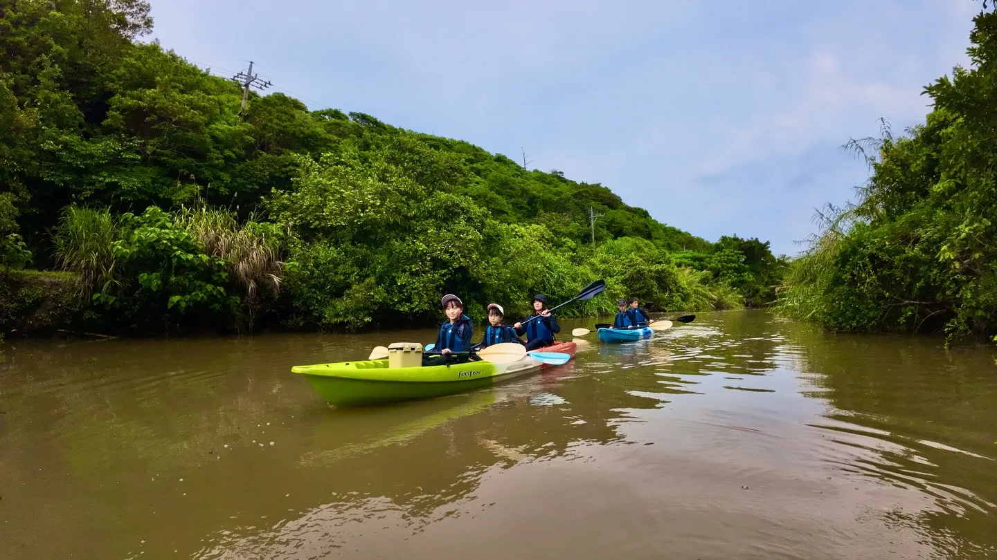 マングローブカヤックツアー♪